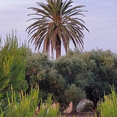 Casitas Del Mar Сasa de vacaciones